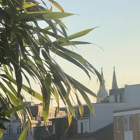 Cologne, Apartment